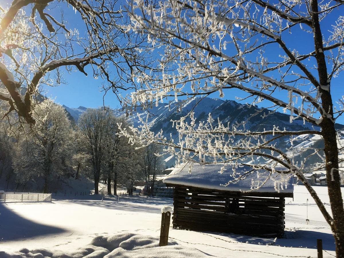 Johannahof Appartements Kaprun Buitenkant foto